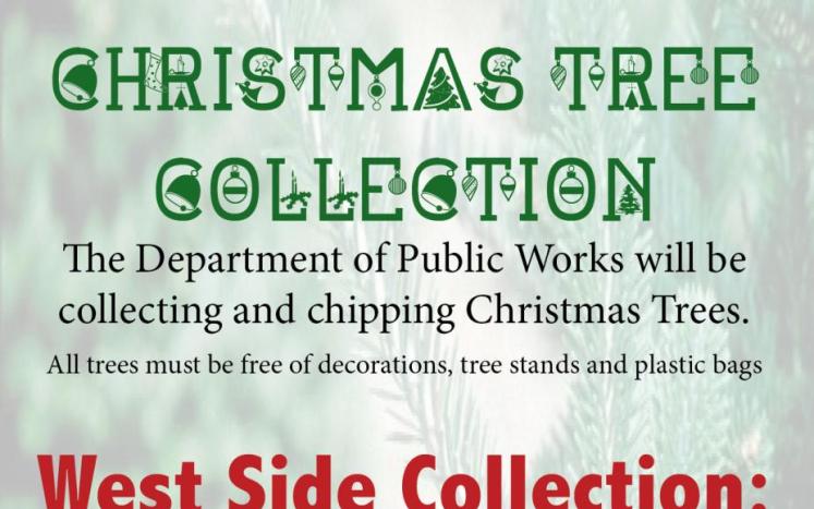 Christmas Tree Collection 